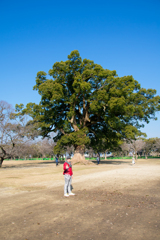 LOG_0194