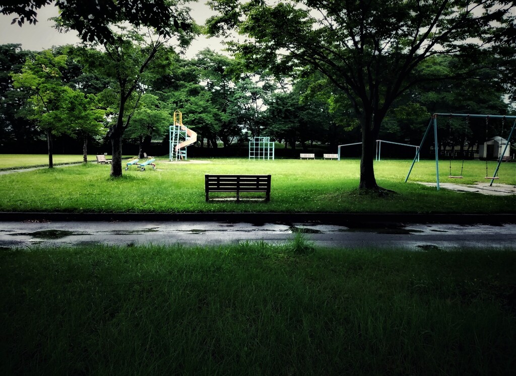 雨上がりの北村公園