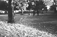 公園散歩
