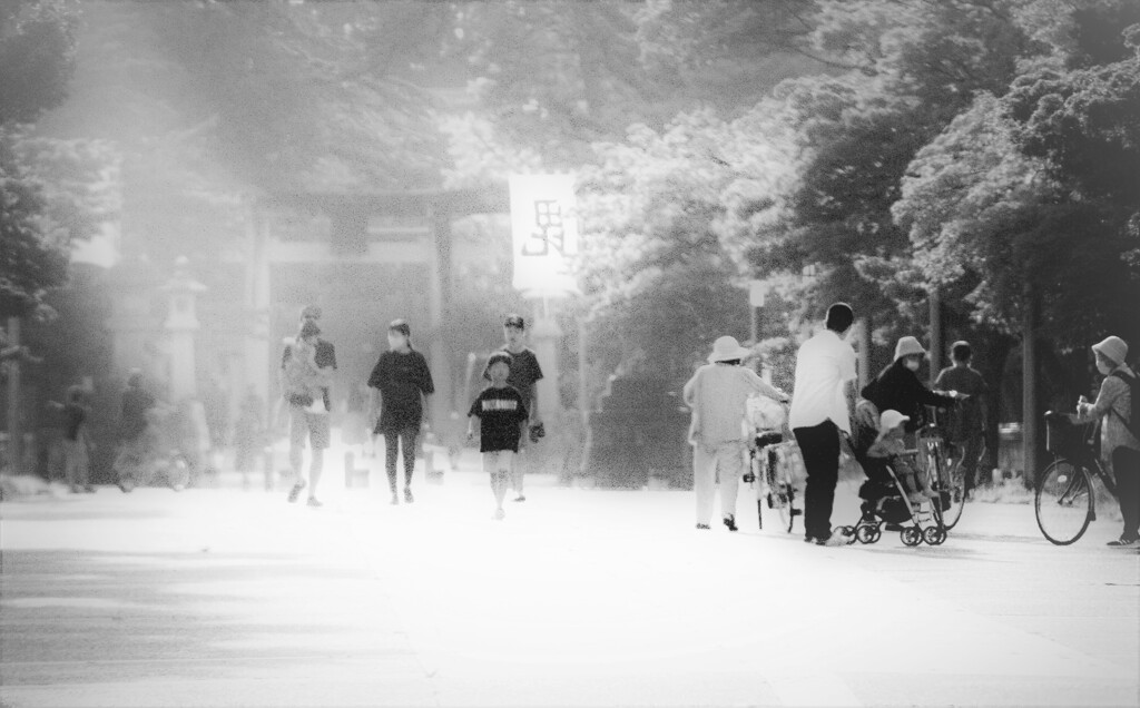 参拝