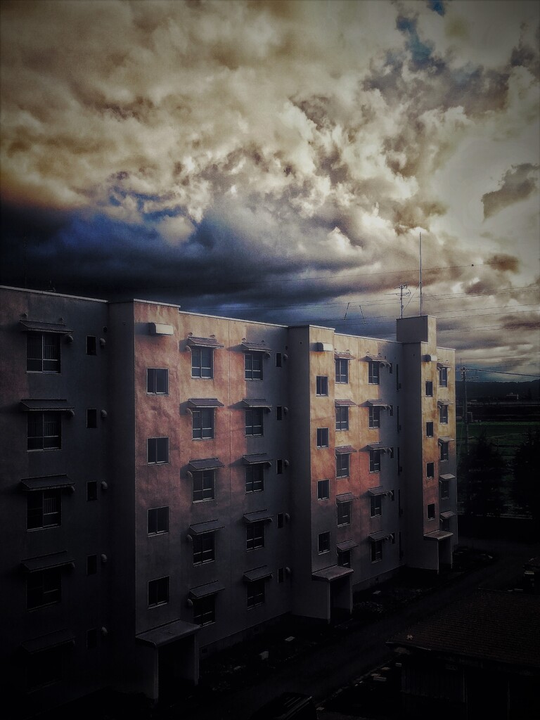 向かいの団地