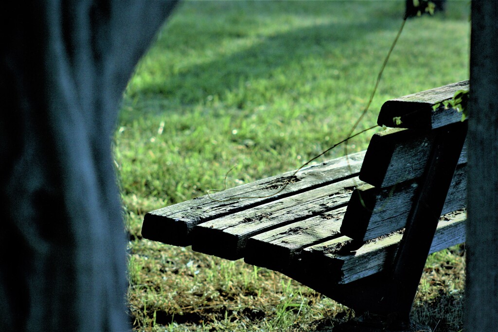 朝散歩の一休み