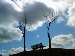 ヨシツキ公園