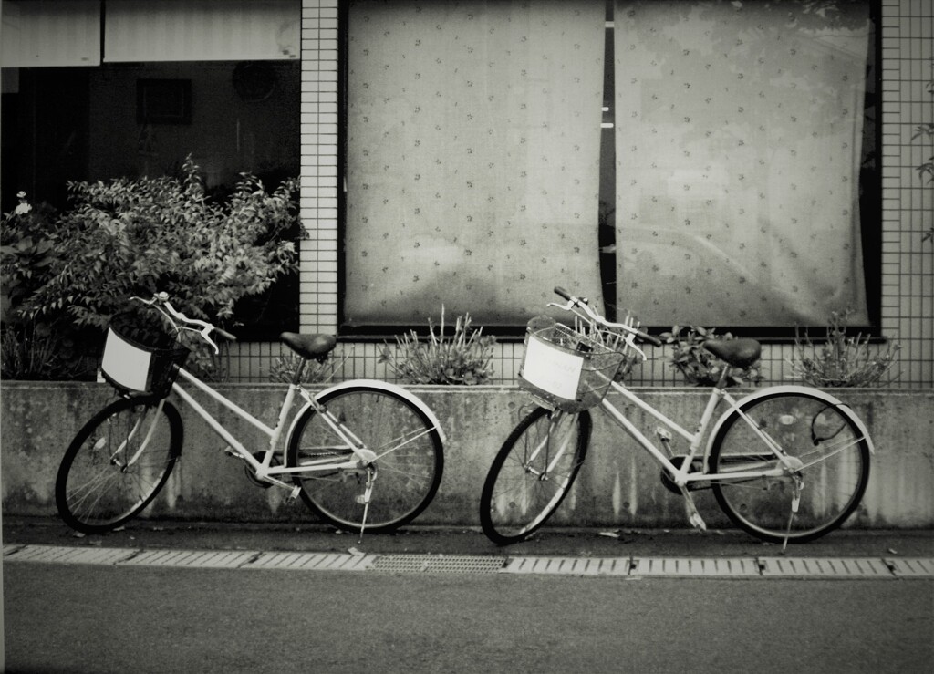 レンタサイクル　待機中