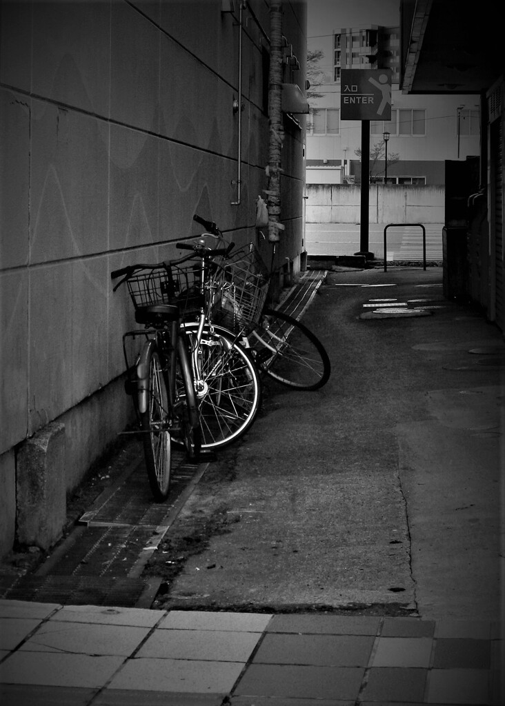 朝散歩