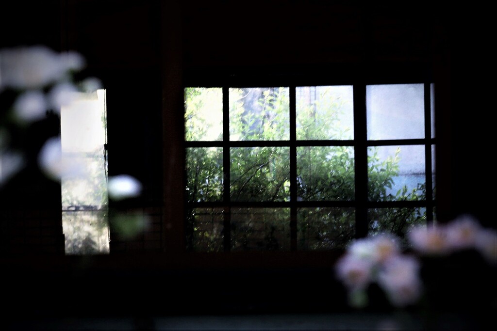 朝散歩