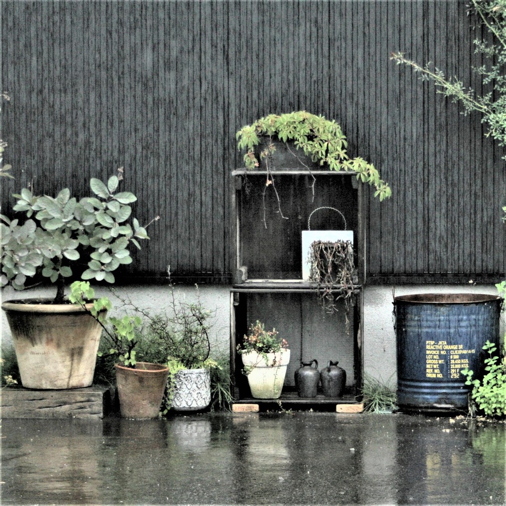 雨の中で