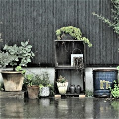 雨の中で