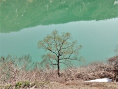 ダム湖のほとり