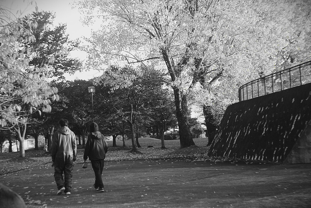 公園散歩