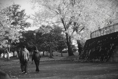 公園散歩