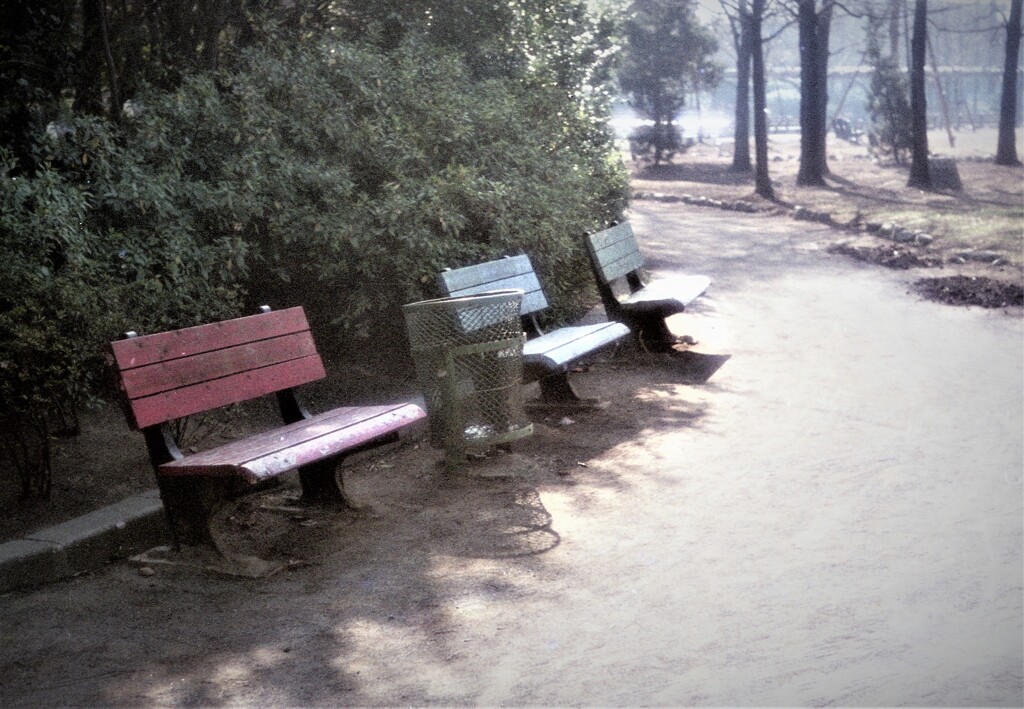 懐かしい景色