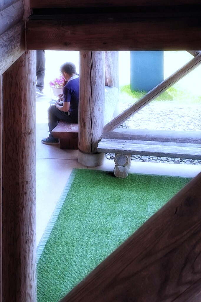 東沢バラ園