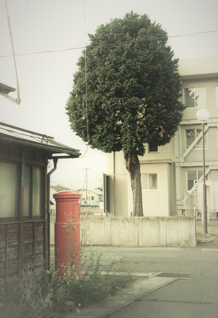 なんとなく懐かしい風景