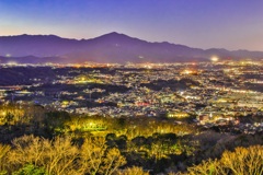 湘南平より、大山を望む夜景。