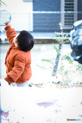 雪の朝