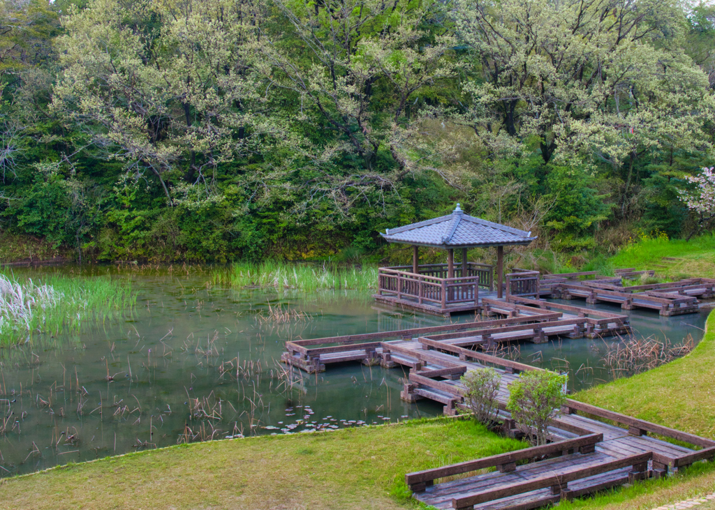 万助溜公園　雨上がり（３）
