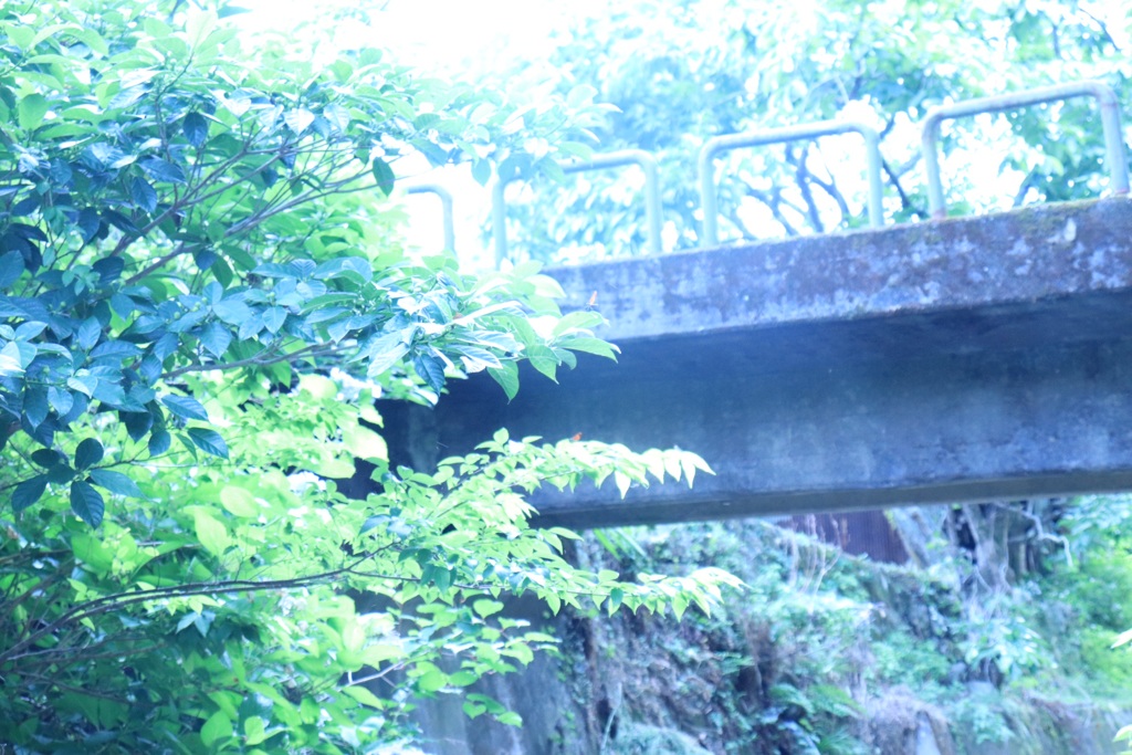 634D2E59-FBD4-4769-B7A6-E8BE23FDCEE8