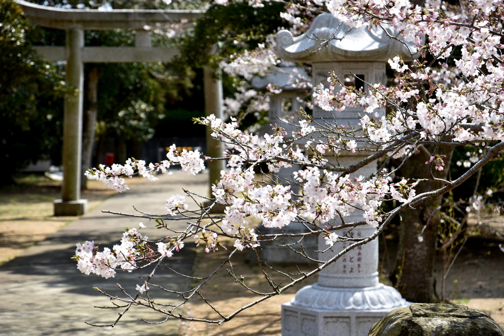 厳島神社