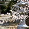 厳島神社