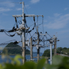電柱がいっぱい