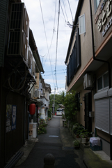 路地と電線