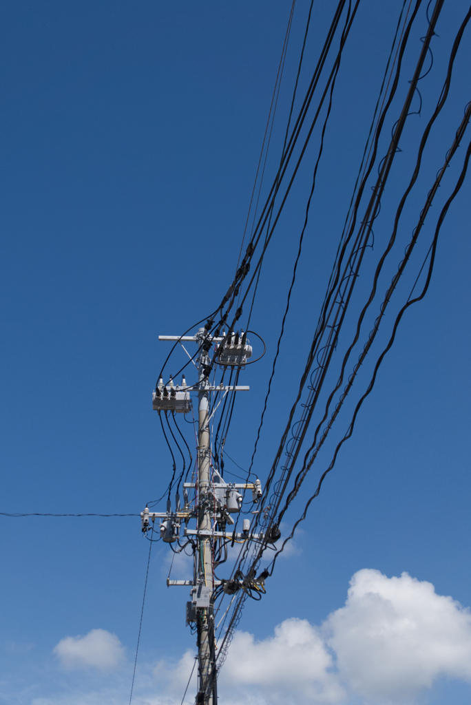 夏空と電柱