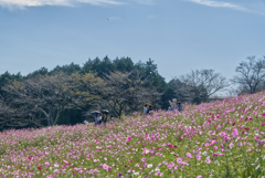 白木峰高原５