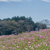 白木峰高原５