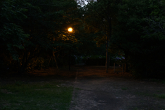 薄暗い神の島公園