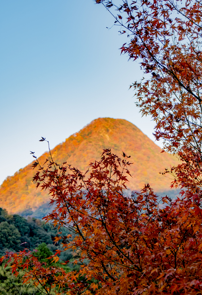 紅葉の千燈岳