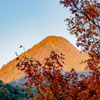 紅葉の千燈岳