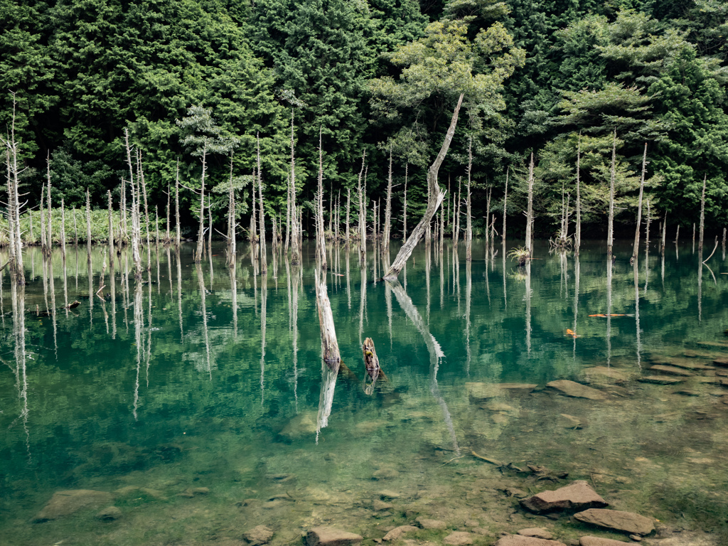 一の俣桜公園 By Satohiro Id 写真共有サイト Photohito