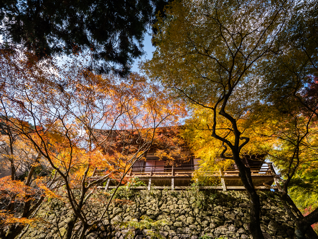 両子寺の紅葉２