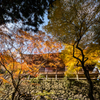 両子寺の紅葉２