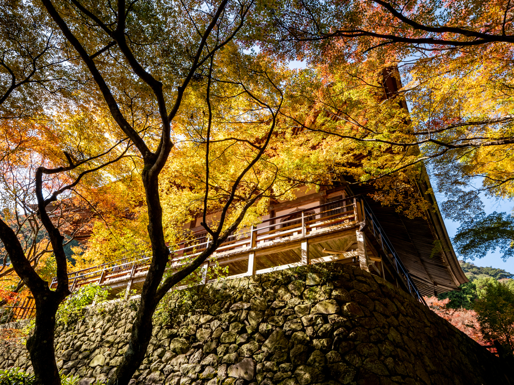 両子寺の紅葉３
