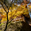 両子寺の紅葉３