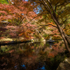 両子寺の紅葉１