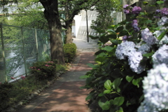 道