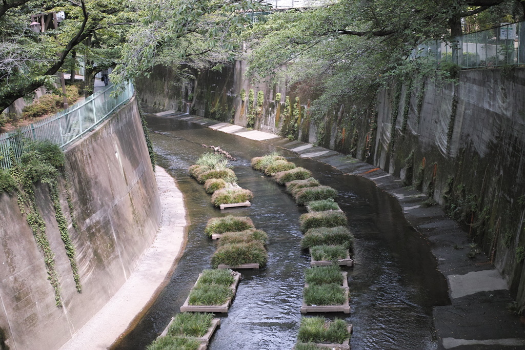石神井川