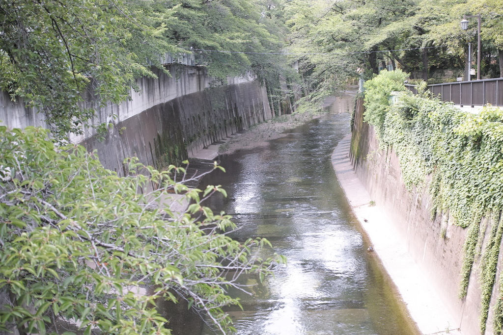 石神井川