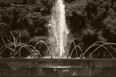 _K330056