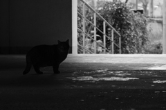 DSCF0263