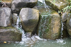 DSC00354
