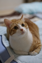 真ん丸お目目
