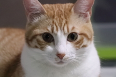 反省してますよ！