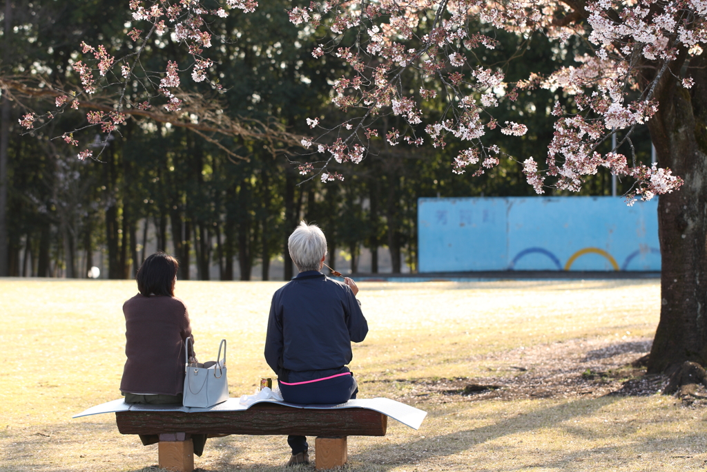 休日の公園　2020