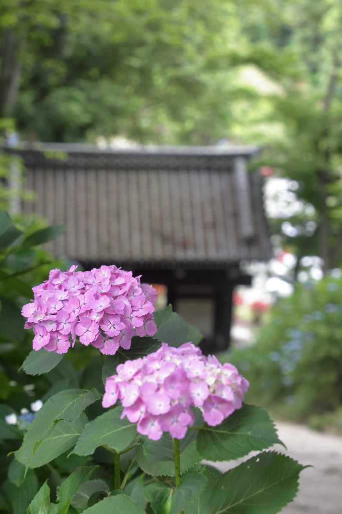 いつまでも仲良しで