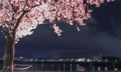 夜の狭山池