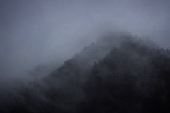 The mountain was covered in deep fog